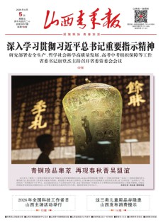 山西青年报